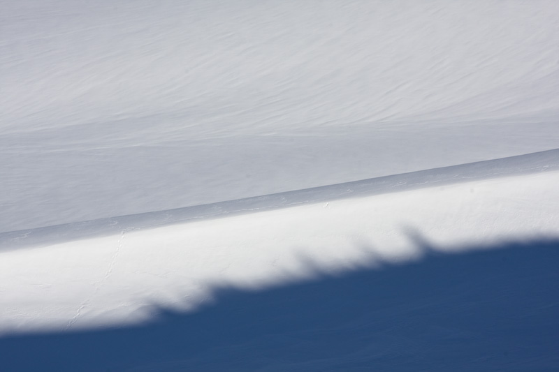 Shadow On The Moraine Of The Nisqually Glacier